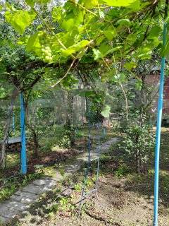 Фотография №4