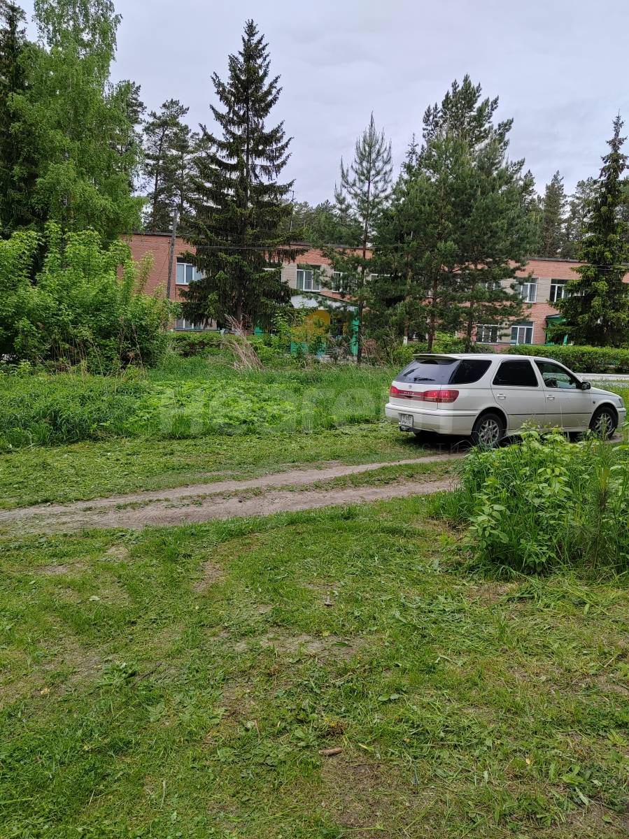 Фотография №7