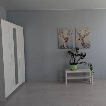 Сдается 1-комнатная квартира, 45 м²