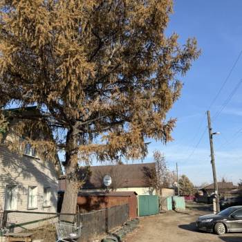 Продается Дом, 113,9 м²