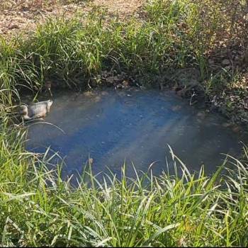 Продается Дом, 83 м²