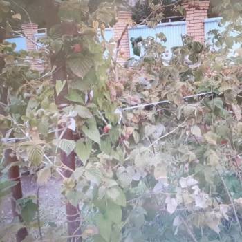 Продается Участок, 550 м²