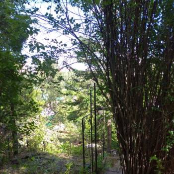 Продается Участок, 1000 м²