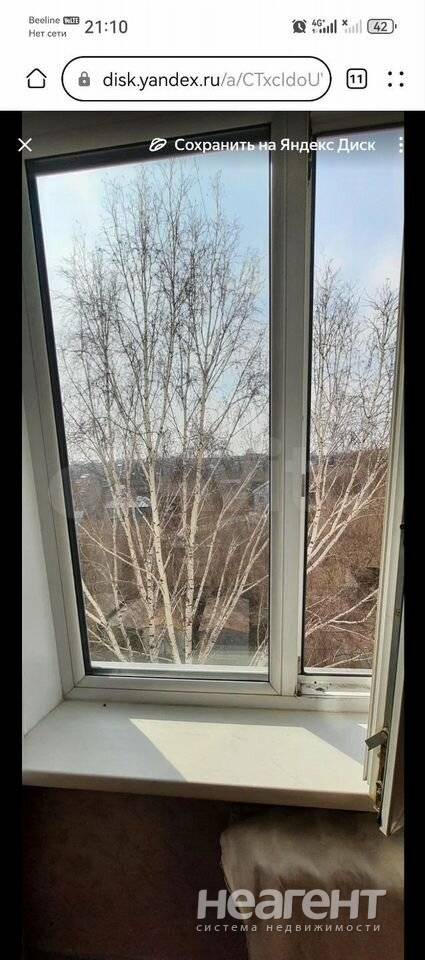 Фотография №2