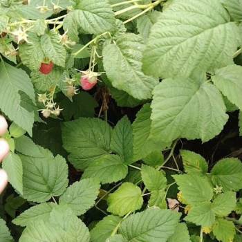 Продается Дом, 50 м²