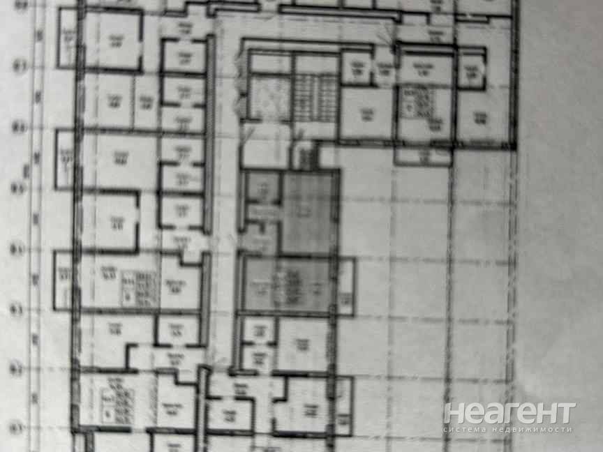 Фотография №2