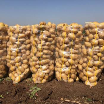 Продается Участок, 910 м²