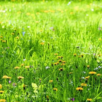 Продается Участок, 680 м²