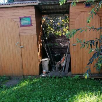 Продается Дом, 51,2 м²