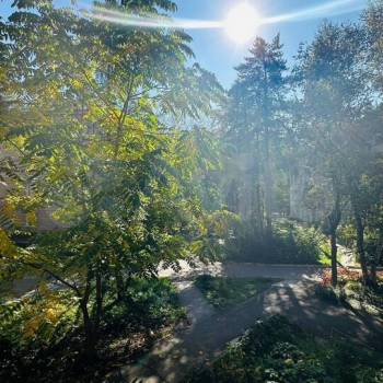 Сдается 2-х комнатная квартира, 43 м²