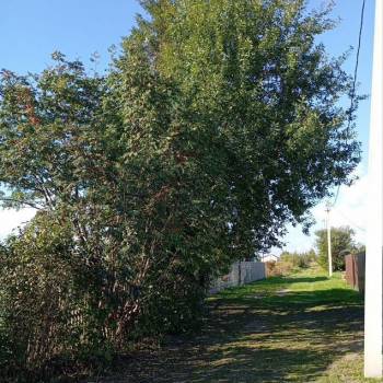 Продается Участок, 1180 м²