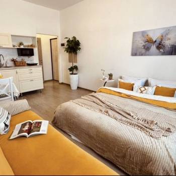 Сдается 1-комнатная квартира, 25 м²