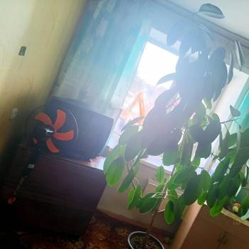 Сдается Комната, 19 м²