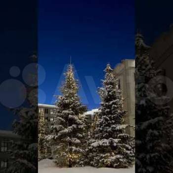 Сдается 1-комнатная квартира, 51 м²