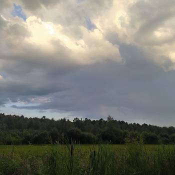 Продается Участок, 1000 м²