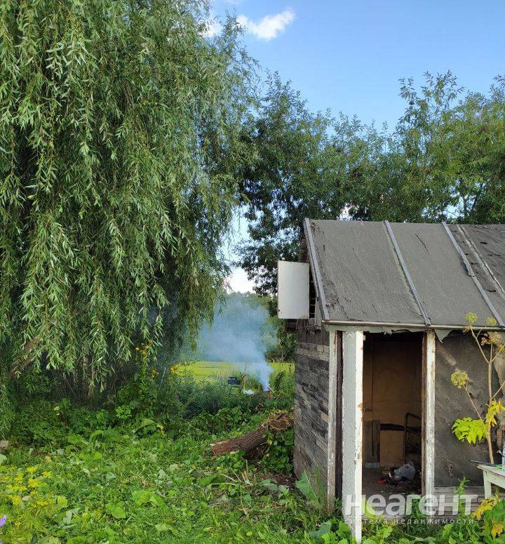 Фотография №2