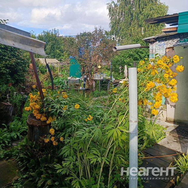 Продам участок (СНТ, ДНП),  СНТ Новая Сибирь, лично