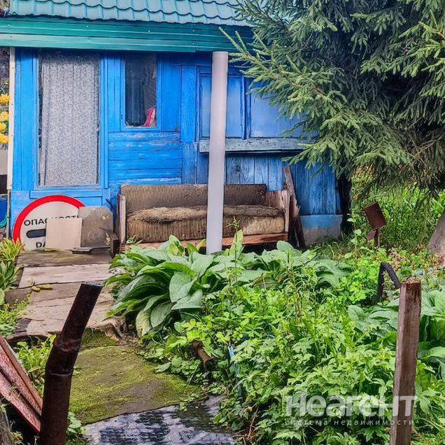 Фотография №2