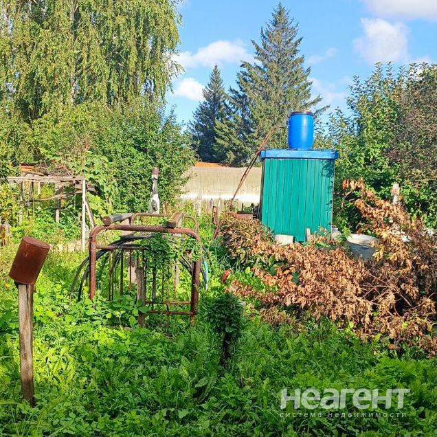 Фотография №3