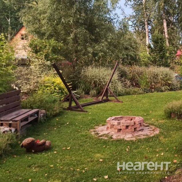 Фотография №3