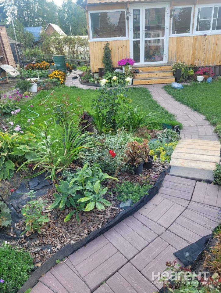 Фотография №2