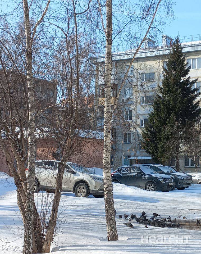 Фотография №2