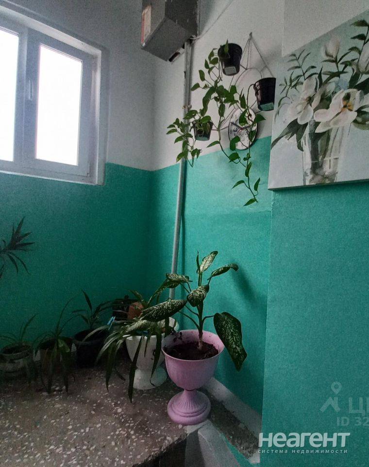 Фотография №3