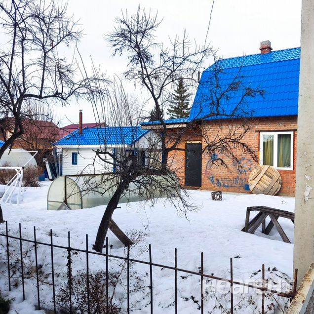 Фотография №3