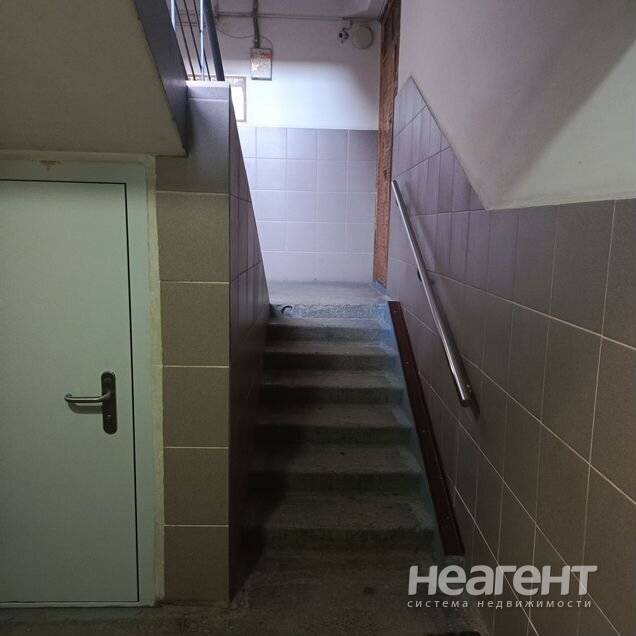 Фотография №3