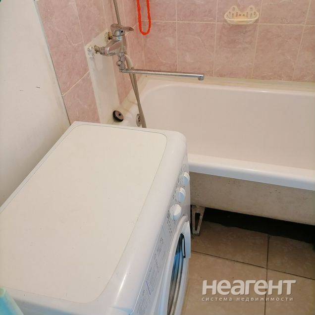 Фотография №3