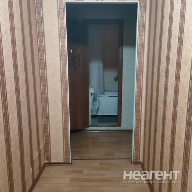 Фотография №3