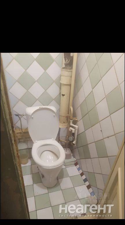 Фотография №2