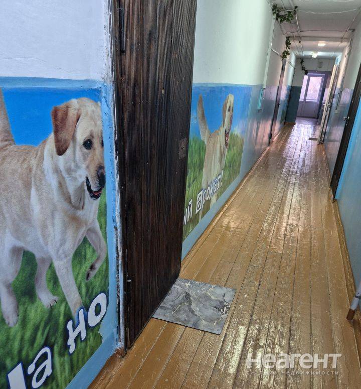 Фотография №2