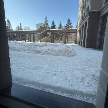 Сдается Нежилое помещение, 101,7 м²