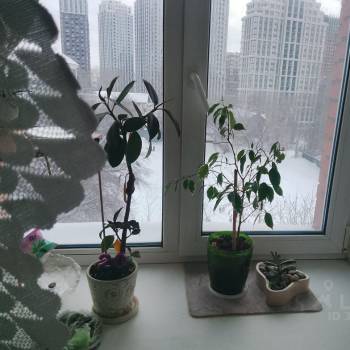 Сдается 2-х комнатная квартира, 60 м²