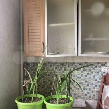 Сдается Комната, 18 м²