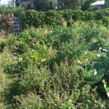 Продается Участок, 300 м²