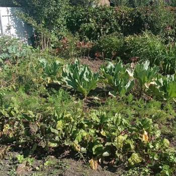 Продается Участок, 300 м²