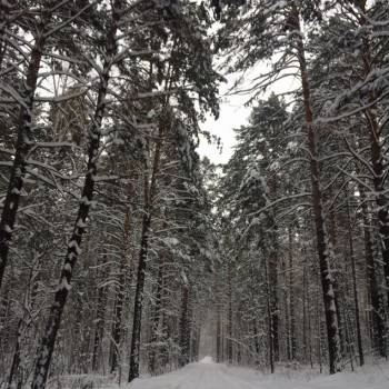 Продается Участок, 1080 м²