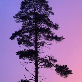 Продается Участок, 1080 м²