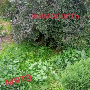 Продается Дом, 84 м²