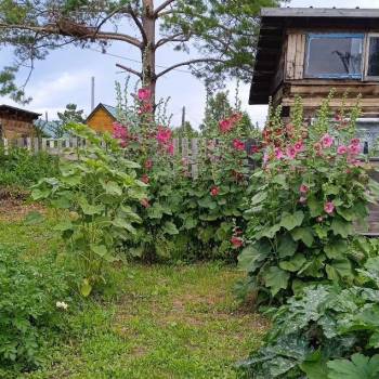 Продается Участок, 650 м²