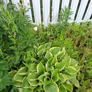 Продается Участок, 940 м²