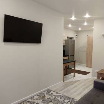 Сдается 1-комнатная квартира, 24,1 м²