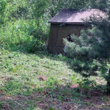 Продается Участок, 320 м²