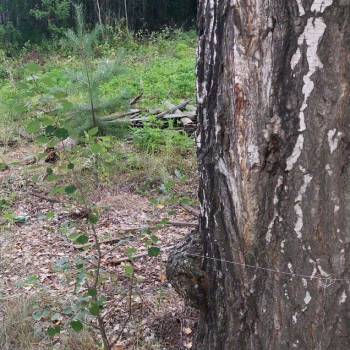 Продается Участок, 320 м²