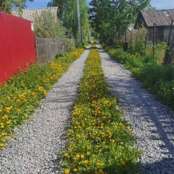 Продается Дом, 25 м²