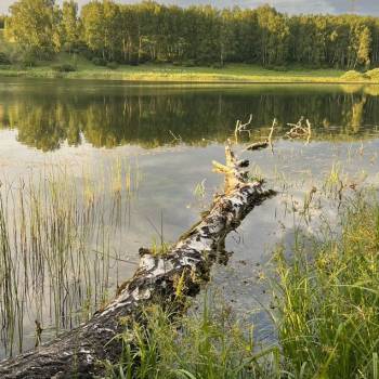 Продается Участок, 1050 м²