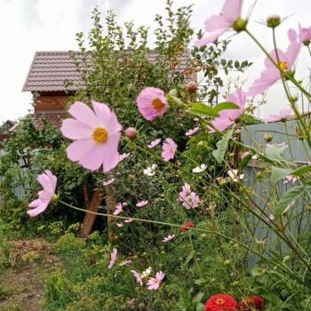 Продается Дом, 42 м²