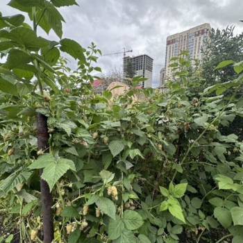 Продается Участок, 370 м²